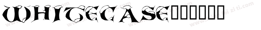 WHITECASE字体转换