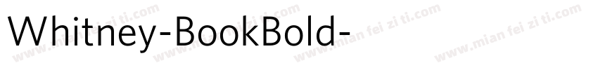 Whitney-BookBold字体转换