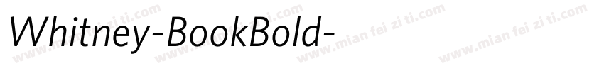 Whitney-BookBold字体转换