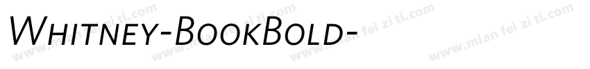 Whitney-BookBold字体转换