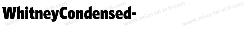 WhitneyCondensed字体转换