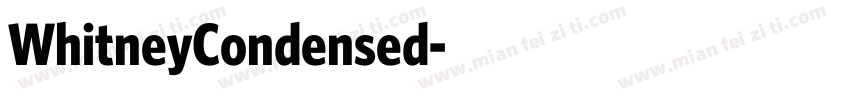 WhitneyCondensed字体转换