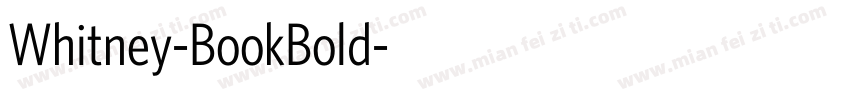 Whitney-BookBold字体转换
