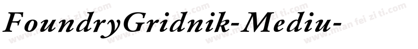 FoundryGridnik-Mediu字体转换