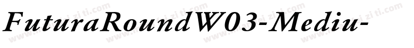 FuturaRoundW03-Mediu字体转换