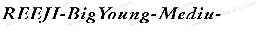 REEJI-BigYoung-Mediu字体转换