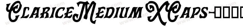 ClariceMediumXCaps字体转换
