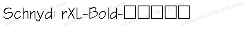 SchnyderXL-Bold字体转换
