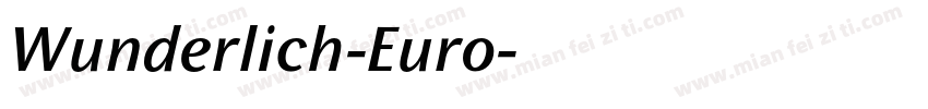 Wunderlich-Euro字体转换