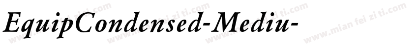 EquipCondensed-Mediu字体转换