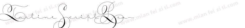 TartineScriptPro字体转换