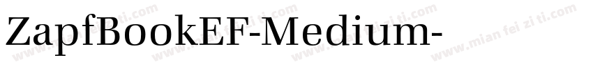 ZapfBookEF-Medium字体转换