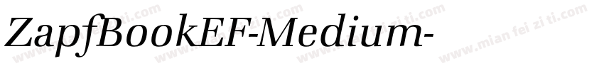 ZapfBookEF-Medium字体转换