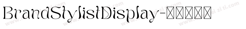 BrandStylistDisplay字体转换
