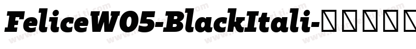 FeliceW05-BlackItali字体转换