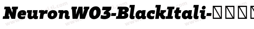 NeuronW03-BlackItali字体转换