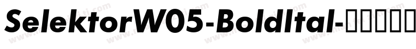 SelektorW05-BoldItal字体转换