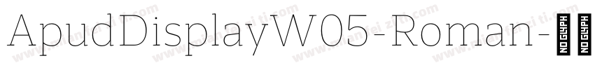 ApudDisplayW05-Roman字体转换