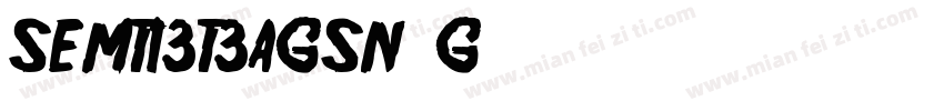 SEMT13T3AGSN-G字体转换