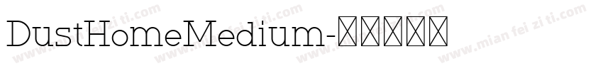 DustHomeMedium字体转换
