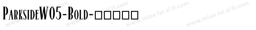 ParksideW05-Bold字体转换