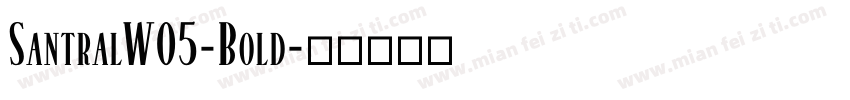 SantralW05-Bold字体转换