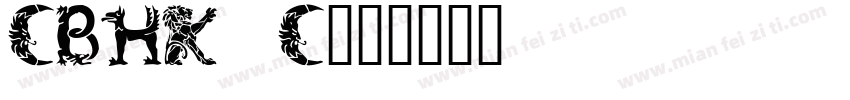 CBHK_C字体转换