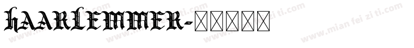 haarlemmer字体转换
