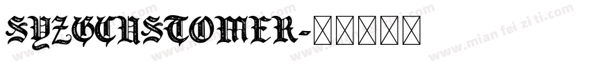 syzgcustomer字体转换