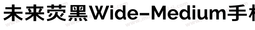 未来荧黑Wide-Medium手机版字体转换
