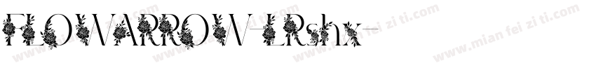 FLOWARROW-LRshx字体转换
