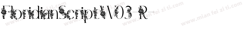 FloridianScriptW03-R字体转换