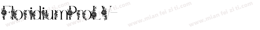 FloridiumProLV字体转换