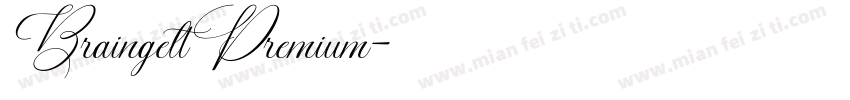 BraingeltPremium字体转换
