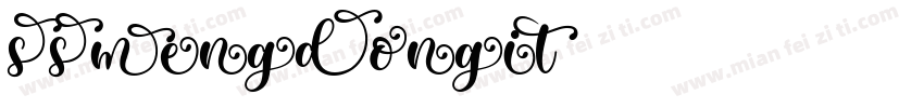 SSMengDongiT字体转换
