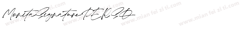 MonitaSignaturePERSO字体转换