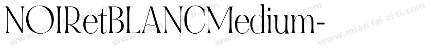 NOIRetBLANCMedium字体转换