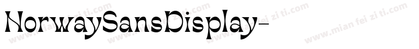 NorwaySansDisplay字体转换