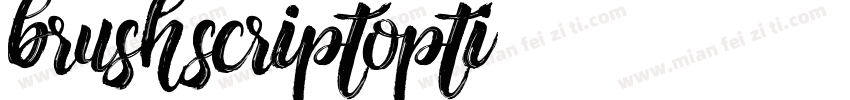 brushscriptopti字体转换