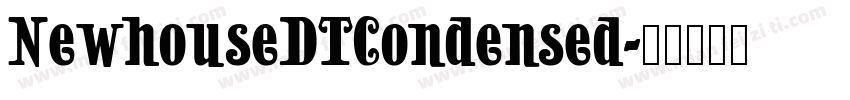 NewhouseDTCondensed字体转换