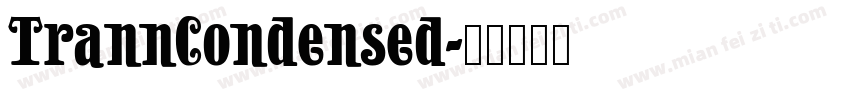 TrannCondensed字体转换