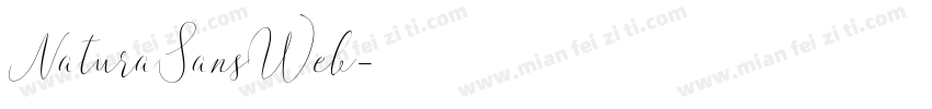 NaturaSansWeb字体转换