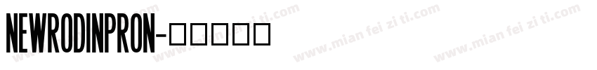 NewRodinPRON字体转换