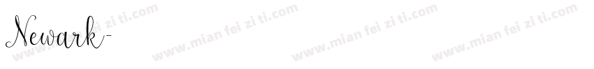 Newark字体转换
