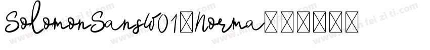 SolomonSansW01-Norma字体转换