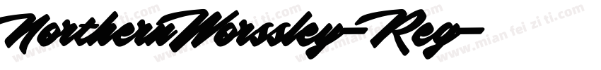 NorthernWorssley-Reg字体转换
