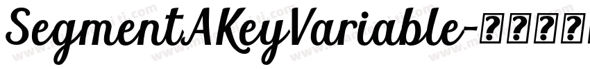SegmentAKeyVariable字体转换