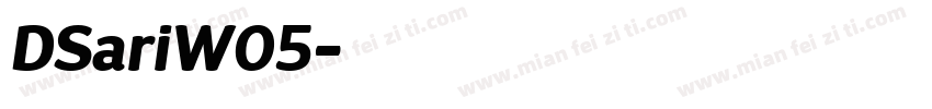 DSariW05字体转换