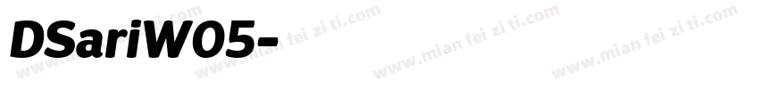 DSariW05字体转换