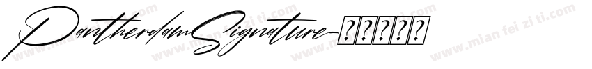 PantherdamSignature字体转换